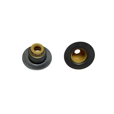 Isf3.8 Engine Spare Parts Oil Seal Valve 3955393 C3955393 for Foton Car Fitment Foton
