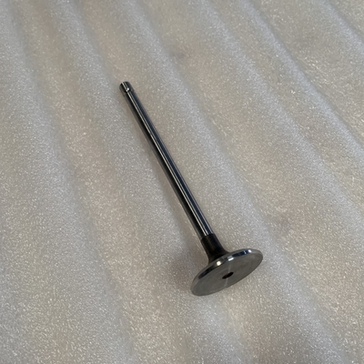 C3940734 air exhaust valve for Dongfeng ISDe engine parts purpose replace/repair