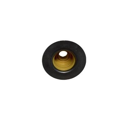 Isf3.8 Engine Spare Parts Oil Seal Valve 3955393 C3955393 for Foton Car Fitment Foton