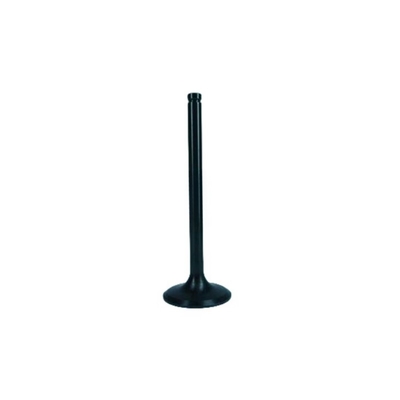Standard Howo 371 Truck Engine Spare Part VG1246050021 Intake Valve for SINOTRUK CNHTC