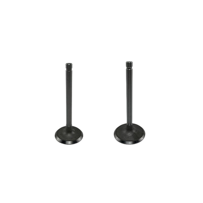 Standard Howo 371 Truck Engine Spare Part VG1246050021 Intake Valve for SINOTRUK CNHTC