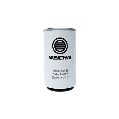 SINOTRUK HOWO SHACMAN Parts Industrial Filters Replacement for Weichai WP12 Engine Year 2006-