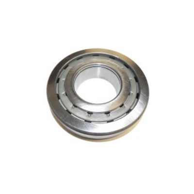 192311E Short Cylindrical Roller Bearing for SINOTRUK Howo Truck Chassis Parts by OEM