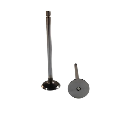 Truck Engine Parts C3940734 Exhaust Valve for Dongfeng ISDe Year 2007- Car Fitment
