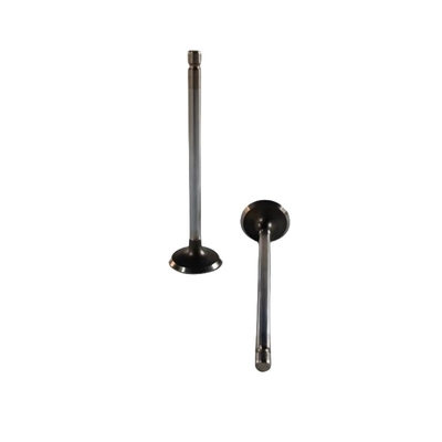 Truck Engine Parts C3940734 Exhaust Valve for Dongfeng ISDe Year 2007- Car Fitment