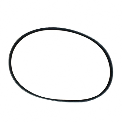 Original Color Rlj469qe21307001a0396 Water Belt For Foton Chinese Truck Parts std