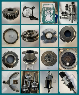 Part Number S240309102A1857 Rear Hub Bearing for Foton Chinese Truck Parts