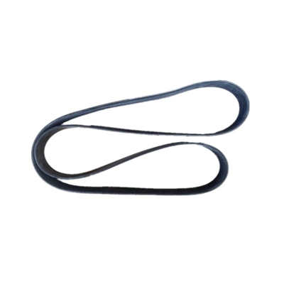 OEM Standard Heavy Truck Spare Parts Belt 504049426 12PK1835 for Replacement/Repair